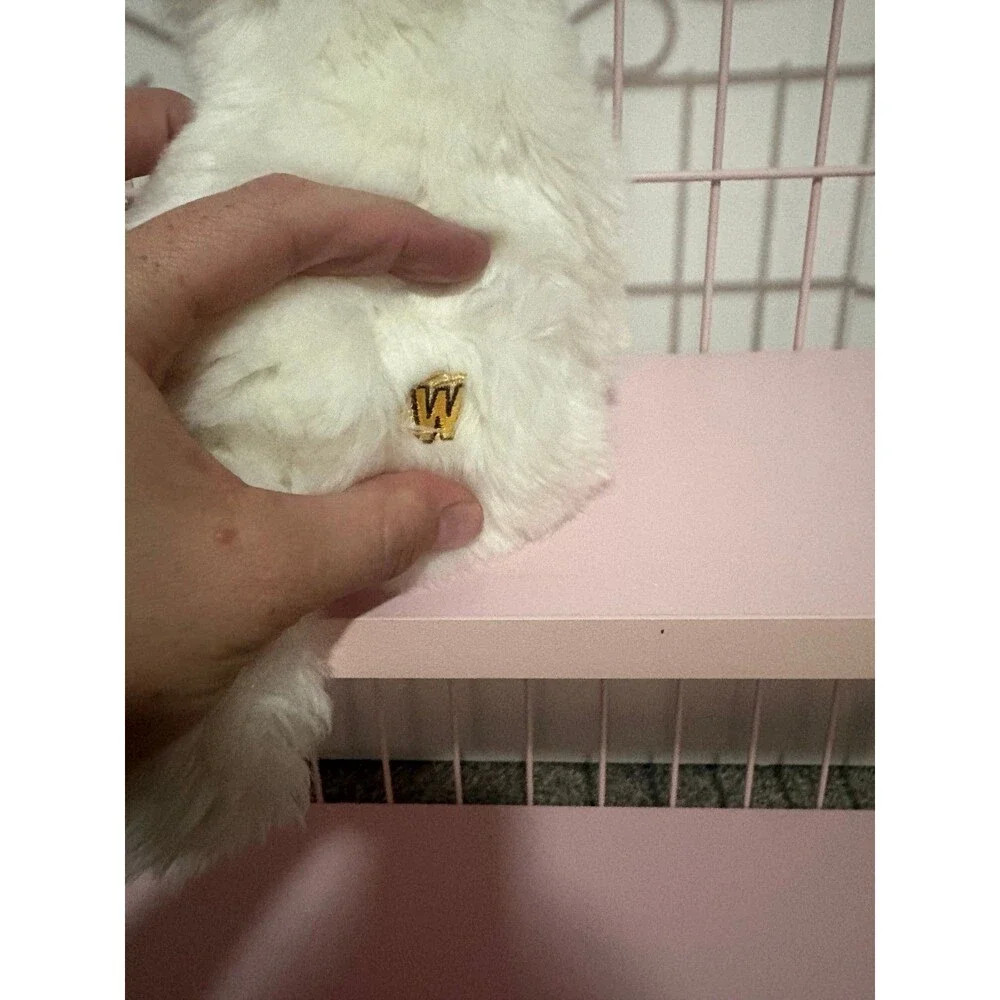 Ganz webkinz signature persian cat